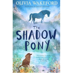 The Shadow Pony | Olivia Wakeford