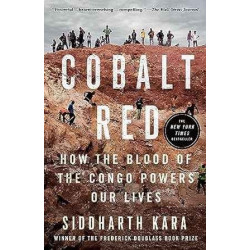 Cobalt Red: How the Blood of the Congo Powers Our Lives | Siddharth Kara