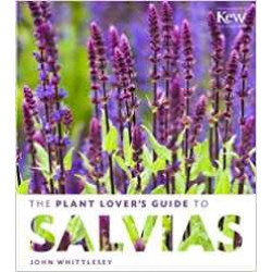 The Plant Lover`s Guide to Salvias | John Whittlesey
