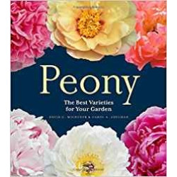 Peony | David C Michener