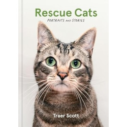 Rescue Cats: Portraits and Stories | Traer Scott