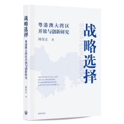 戰略選擇：粵港澳大灣區開放與創新研究 | 林居正