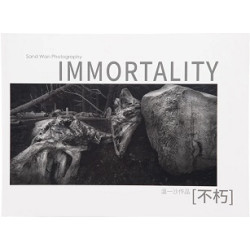Immortality 不朽 | Sand Wan