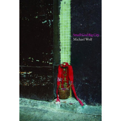 Small God, Big City - Earth God Shrines in Urban Hong Kong 繁華都市小小神(香港市區中的土地神位) | Michael Wolf